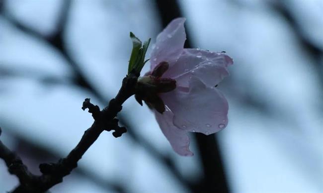 微信图片_20210406134136.jpg 微信图片_20210406134136.jpg